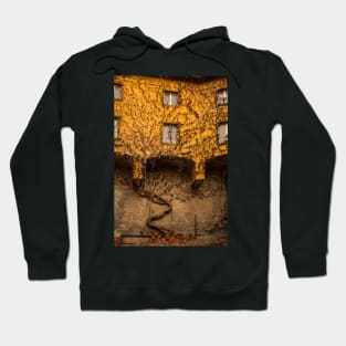 Building in Rovereto in Trentino, Italy Hoodie